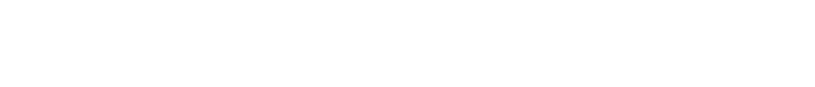 Lotto Champ Software™ Logo